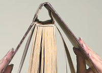 ICKYSTICKY  PVA GLUE 250ML