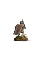 WEAVE OF WAR - HEBRIDEAN CAMPAIGN CLOAK 2