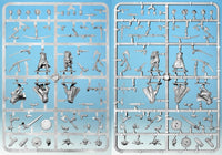 FROSTGRAVE : BARBARIANS II (FEMALES)