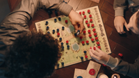 STRATEGO : ORIGINAL - Khaki and Green Books