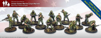 Rubicon - USMC Marines (Vietnam) - Khaki and Green Books
