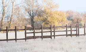 Rubicon - Log Fence Set #1 - Khaki and Green Books