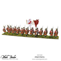 BLACK POWDER MARLBOROUGH'S WARS : INFANTRY OF THE GRAND ALLIANCE - Khaki and Green Books