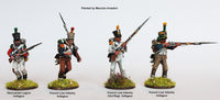 Perry Miniatures - FN 260 Elite Companies French Infantry 1807-14 - Khaki and Green Books