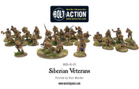 Bolt Action - Siberian Veterans (Plastic/Metal) - Khaki and Green Books