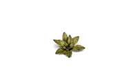 GAMERS GRASS : DUMB CANE LASER PLANTS