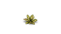 GAMERS GRASS : DUMB CANE LASER PLANTS