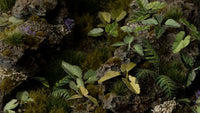 GAMERS GRASS : ELEPHANT EAR LASER PLANTS