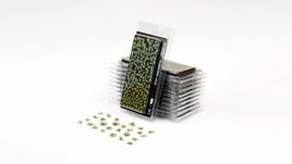 GAMERS GRASS : PLANTAIN LILY LASER PLANTS