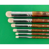 ICKYSTICKY DRY BRUSH SET