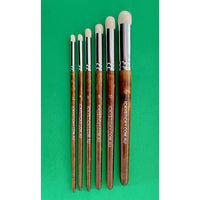 ICKYSTICKY DRY BRUSH SET