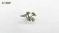 GAMERS GRASS : BUGLOSS LASER PLANTS