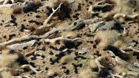 GAMERS GRASS : BLACK 1MM TINY TUFTS