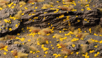GAMERS GRASS : GOLDEN 1MM TINY TUFTS