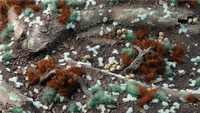GAMERS GRASS : PALE TEAL TINY TUFTS