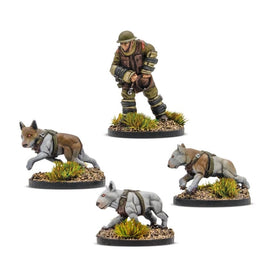KONFLIKT '47 - BRITISH COMMONWEALTH CERBERUS SQUAD 1