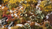 GAMERS GRASS : BUGLOSS LASER PLANTS