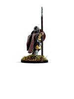 WEAVE OF WAR - BADGERFACE CAMPAIGN CLOAK 4
