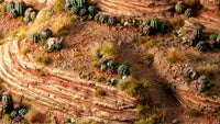 GAMERS GRASS : BARREL CACTI BASING BITS