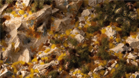 GAMERS GRASS : GOLDEN AUTUMN GLADE BASING BOX