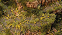 GAMERS GRASS : DANDELION TINY FLOWERS