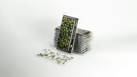 GAMERS GRASS : ELEPHANT EAR LASER PLANTS