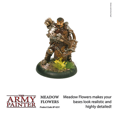 The Army Painter Battlefields : Meadow Flowers - Khaki & Green Books